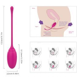 Vajina Sıkılaştırıcı Rose Vajina Kegel Egzersiz Topu 6 Adet C-S0094