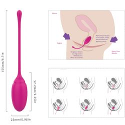 Rose Vajina Kegel Egzersiz Topu 6 Adet C-S0094